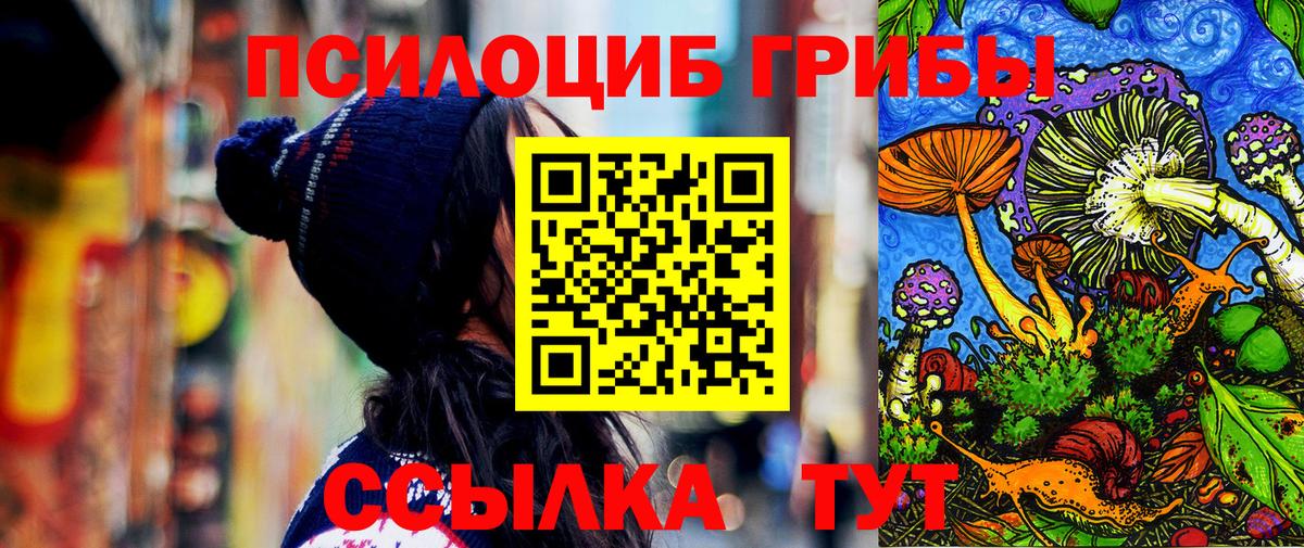 купить наркоту  Галлюциногенные грибы Cubensis  Вход с VPN  Псилоцибиновые грибы Magic Shrooms  Тельмана 